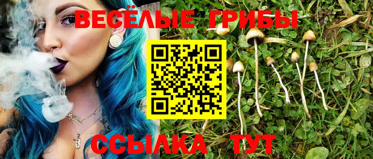 Отрадное  Псилоцибиновые грибы ЛСД  Вход с VPN 
