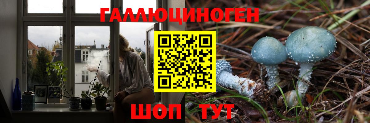Галлюциногенные грибы Psilocybine cubensis Отрадное